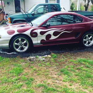 Meet your Posher, Brad